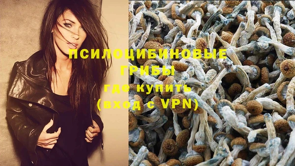 экстази Алексин