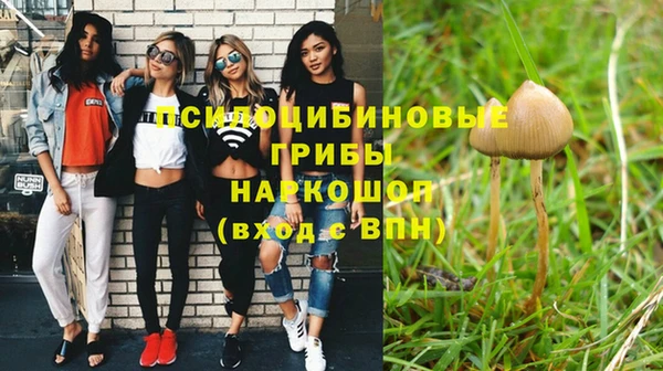кокс Алексеевка