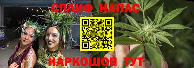 гидра Малоярославец