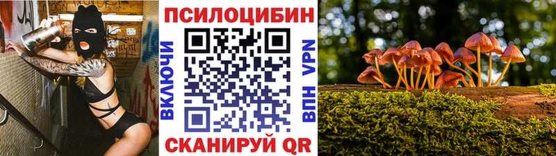 Псилоцибиновые грибы Cubensis Геленджик