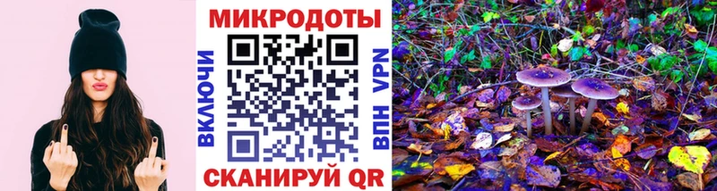 Галлюциногенные грибы Psilocybe  купить наркотики сайты  Геленджик 