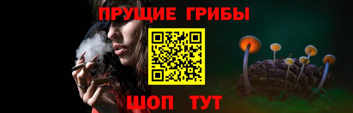 Галлюциногенные грибы мицелий Геленджик